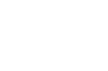 BLS International mobile logo